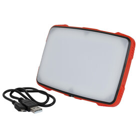 Fox Carp - Halo Photography Light - Fox Carp