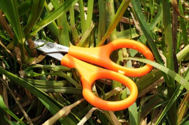 Des ciseaux Rig Scissors - Guru