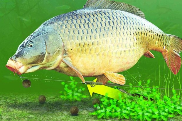 Korda - Lead Clip Action Pack - Korda