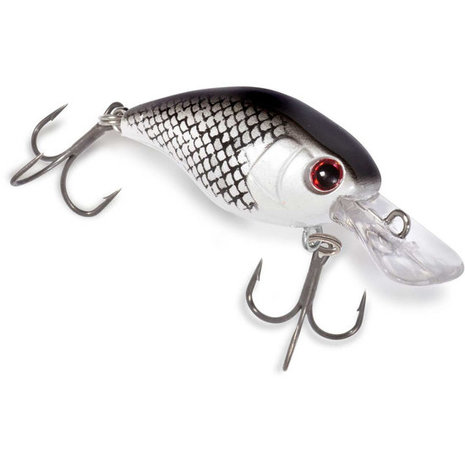 Magic Trout - PROMO Bustle and Hustle River 3D - Magic Trout