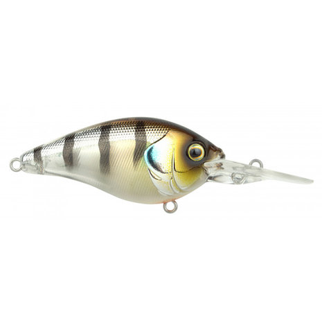 SPRO - Pluggen Ikiru Crank 60mm - Long Lip - 14g - SPRO