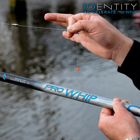 Cresta - Kanthengel Identity Accelerate Pro Whip - Cresta
