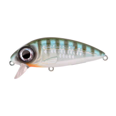 SPRO - Crankbait Iris Flanky - 90mm - 22gr - SPRO