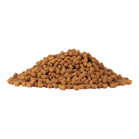 Ringers - Premium Coarse Pellets - Ringers