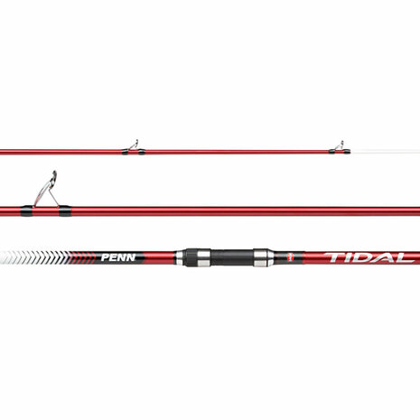 Penn - Canne Tidal 423 Surf 4,20m - 100-250gr - Penn