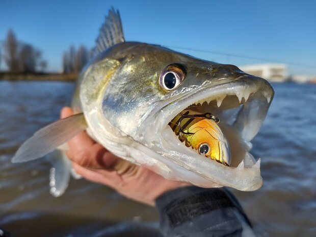 Gunki - Poisson nageurs Kaiju Boost 7,5cm - 20,3gr - Gunki