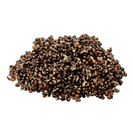 Starbaits - Ready Seeds Hemp - 1kg - Starbaits