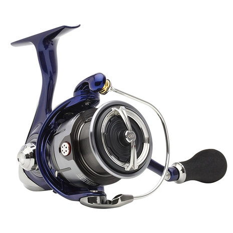 Daiwa - Feeder 24 TDR Match &amp; Feeder QD - Daiwa