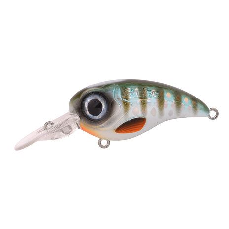 SPRO - Crankbait Fat Iris 80 CR - 8,0cm - 40,0 gr - SPRO