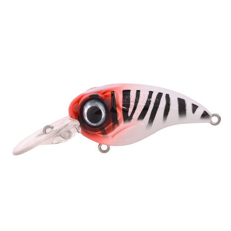 SPRO - Crankbait Fat Iris 60 CR - 6,0cm - 18,0 gr - SPRO