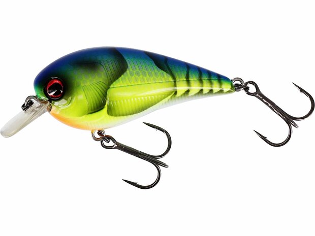 Westin - Crankbait Bassbite 2,5 Squarebill Floating 7cm / 16gr - Westin