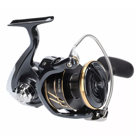 Daiwa - Slip voorop 24 Calida SW 4000D-CXH - Daiwa