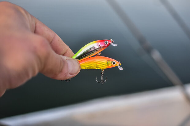 Rapala - X-Light Minnow - 5cm - 4gr - Rapala