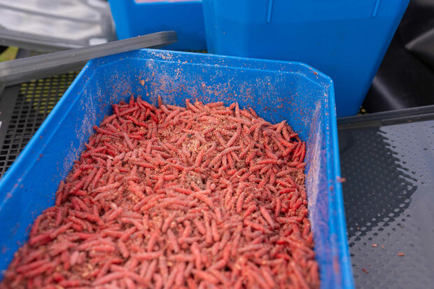Preston - Bait Tubs - Preston