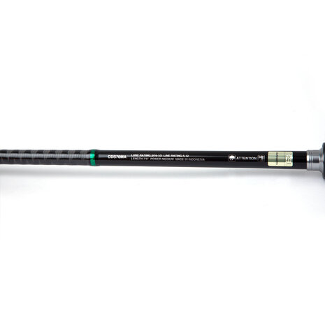 Shimano - PROMO Curado Spinning - Shimano
