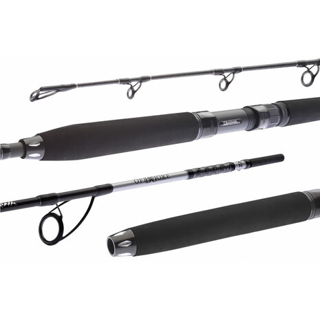 Daiwa - BG Sea Jigger Spin 1.70m / 150-400gr - Daiwa