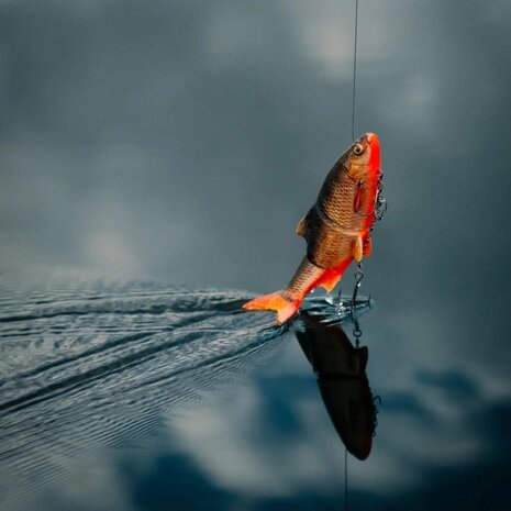 Westin - Ricky The Roach Inline Sinking 25cm / 210gr - Westin