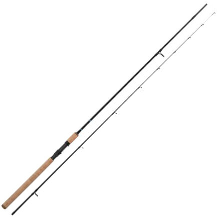 Zebco - Ambition Picker 2,40m / 30gr - Zebco