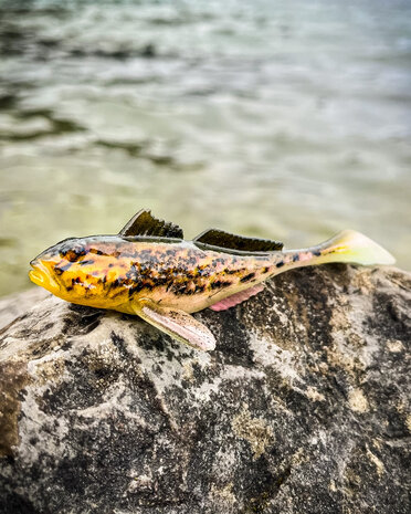 Westin - Gunnar The Goby 6.5cm / 3.5gr- Westin