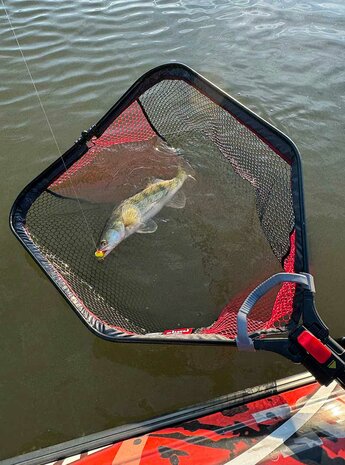 Fox Rage - Speed Flow Folding Net / Medium - Fox Rage