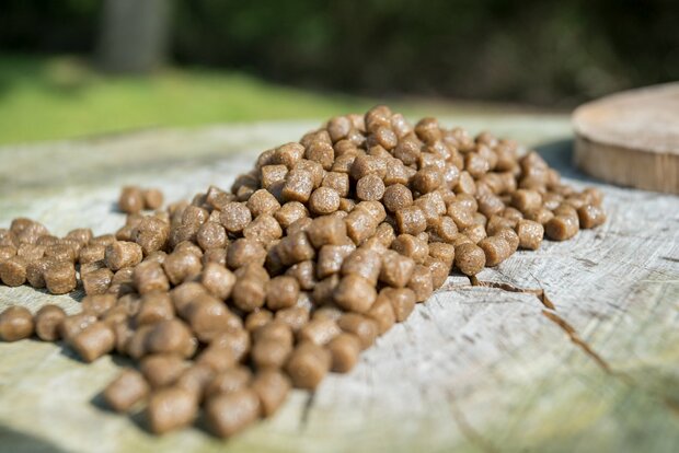 Sonubaits - Pro Expander Pellets / 500gr - Sonubaits