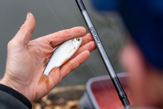 Guru - Natural Waggler 11ft Rod &amp; Reel Combo - Guru
