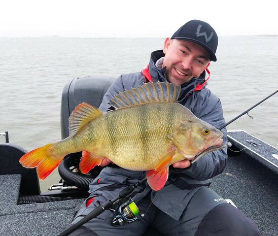 Westin - Creature Bait Rigged &lsquo;N Ready Ned Worm Slim Dark Water Mix / 5.5cm - Westin