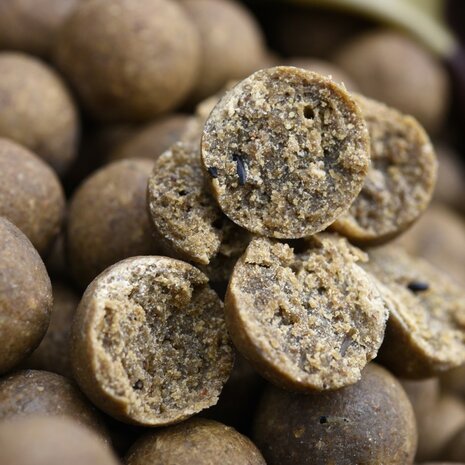 CC Moore - Boilies Shelf Life Odyssey XXX / 1kg - CC Moore