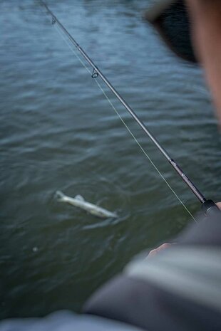 arrior Zander Jigger 240cm / 10-30gr - Fox Rage
