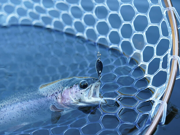 Trout Master - Incy Spin Spoon / 2.50gr - SPRO