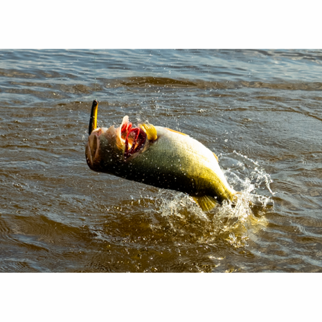 Savage Gear - PROMO Prop Walker 10,0cm / 21.0gr  - Savage Gear