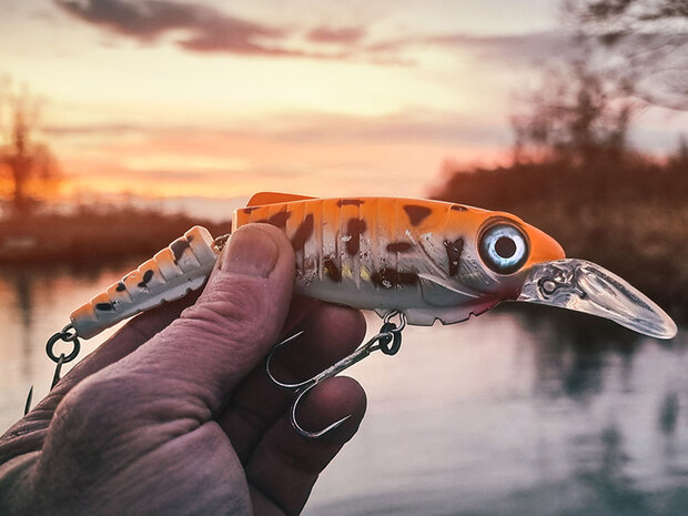 SPRO - PROMO Ripple Profighter 110 DD - 11,0cm / 20,0 gr - SPRO