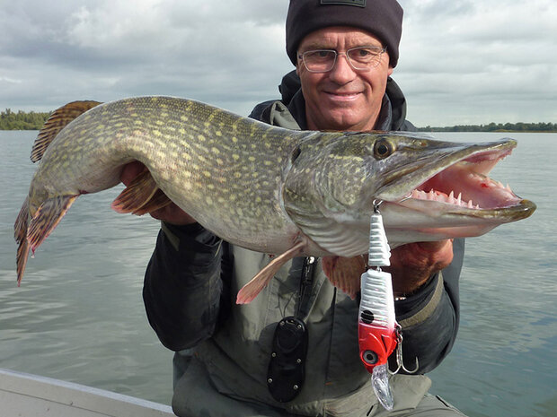 SPRO - PROMO Ripple Profighter 110 DD - 11,0cm / 20,0 gr - SPRO