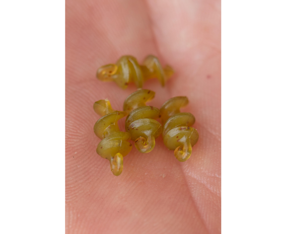 Smokescreen Meat Screws - Korum