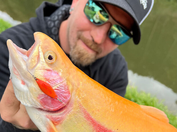 Serc Spoon  Trout Master