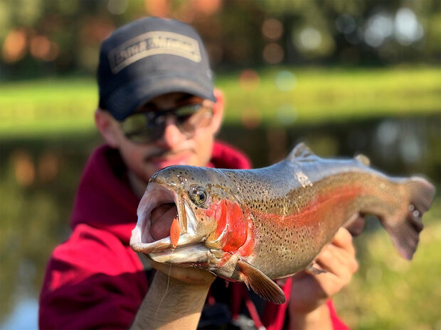 Serc Spoon  Trout Master