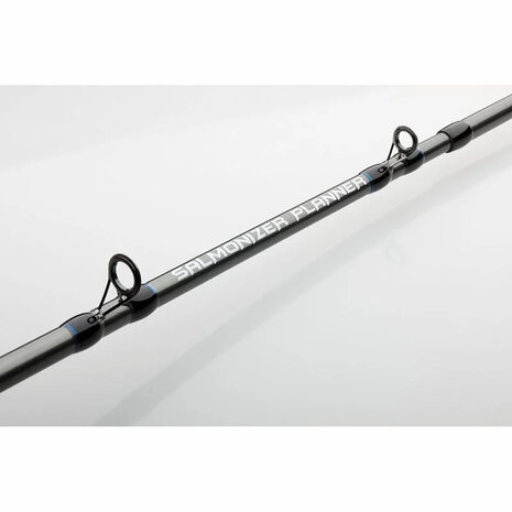 DAM -Salmonizer Planner Rod 2.40m / 20-35lbs