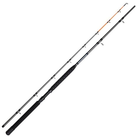 DAM -Salmonizer Planner Rod 2.40m / 20-35lbs