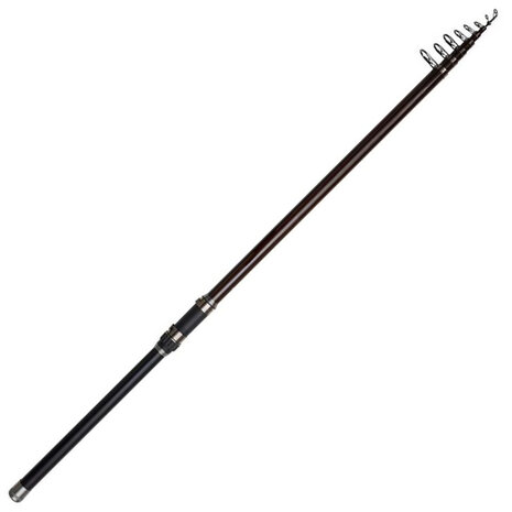 Backbone II Stellfisch Deadbait Tele 6,00m / 50-100gr - DAM