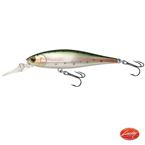 Pointer 78DD- 7.80cm / 9.60gr - Lucky Craft