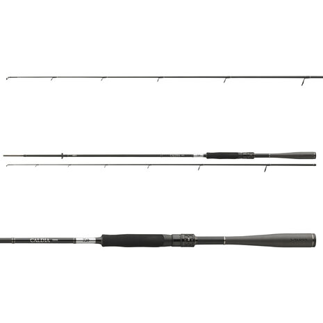 Caldia Sensor Spin- Daiwa