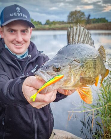 Westin - 2026 Twitchteez R2F 9.5cm / 9.0gr