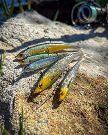 Twitchteez R2F 13.0cm / 18.0gr - Westin