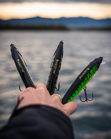 Twitchbait Jerkbite SR Suspending 11cm / 13,5gr - Westin