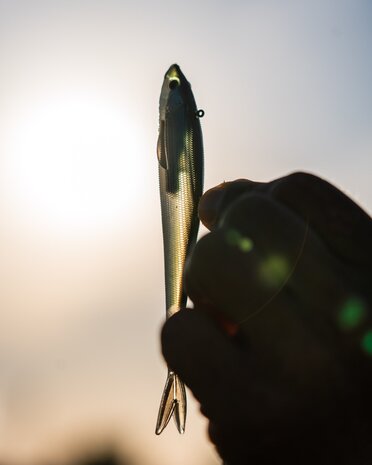 Westin - 2026 Twitchteez R2F 9.5cm / 9.0gr - Westin