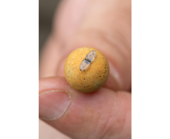 Smokescreen Pellet Stops - Korum