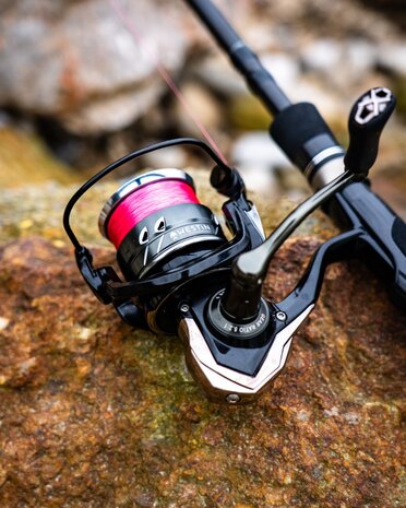 W2 Reel - Westin
