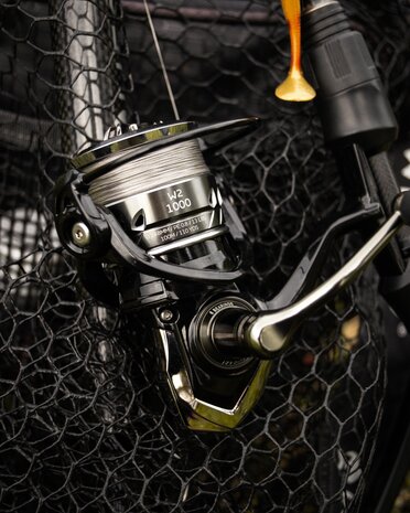 W2 Reel - Westin
