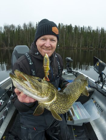 Tommy The Trout Inline 15.0cm / 45.0gr - Westin