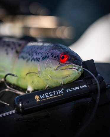 Tommy The Trout Inline 15.0cm / 45.0gr - Westin